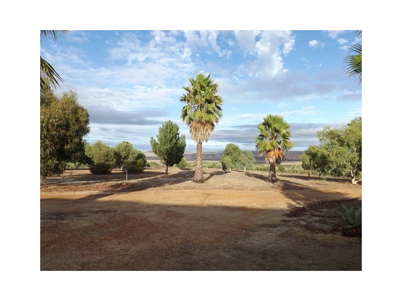 218 Bunter Way, Howatharra WA 6532