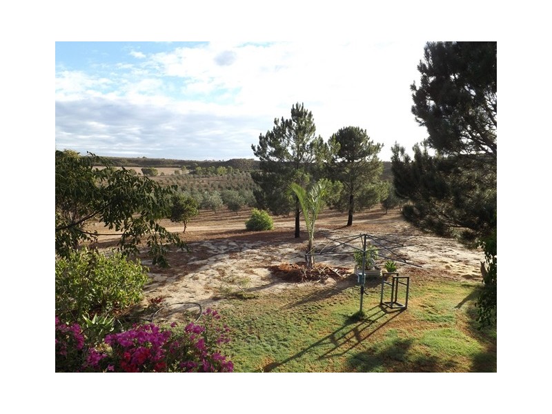 218 Bunter Way, Howatharra WA 6532