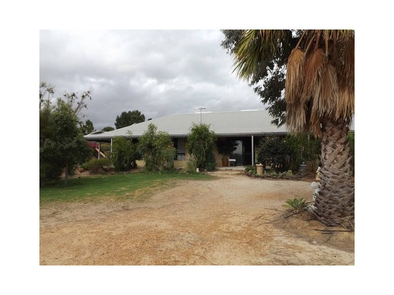 218 Bunter Way, Howatharra WA 6532