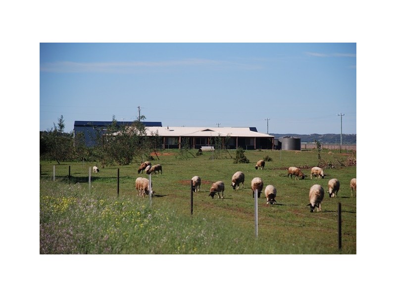 210 Crampton Road, South Greenough WA 6528