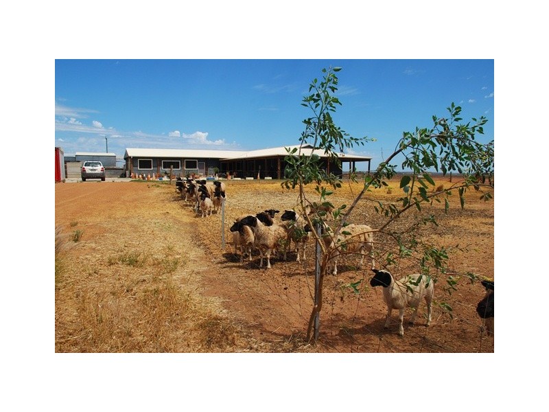 210 Crampton Road, South Greenough WA 6528