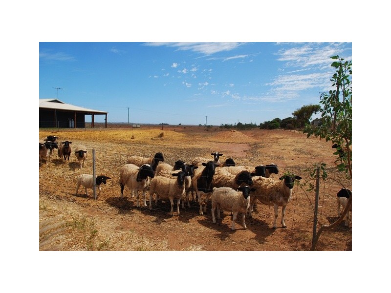 210 Crampton Road, South Greenough WA 6528