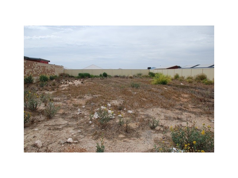 12 Flavio Crescent, Wandina WA 6530