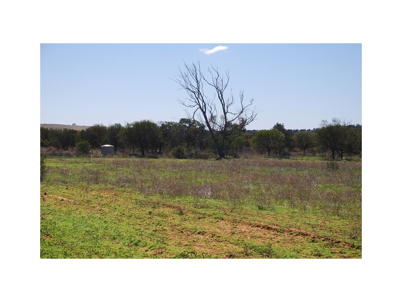 Lot 3 Ernest Street, Mingenew WA 6522