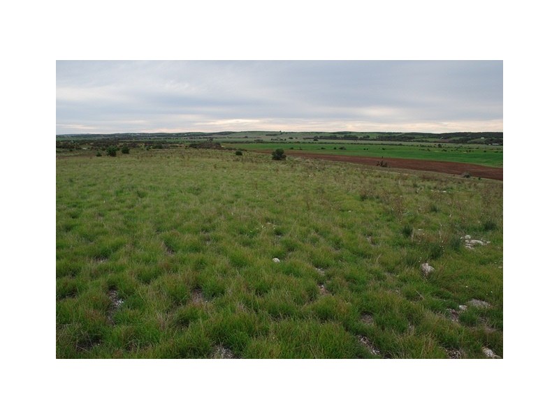 Lot 111 Company Road, Greenough WA 6532
