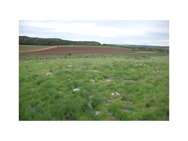 Lot 111 Company Road, Greenough WA 6532