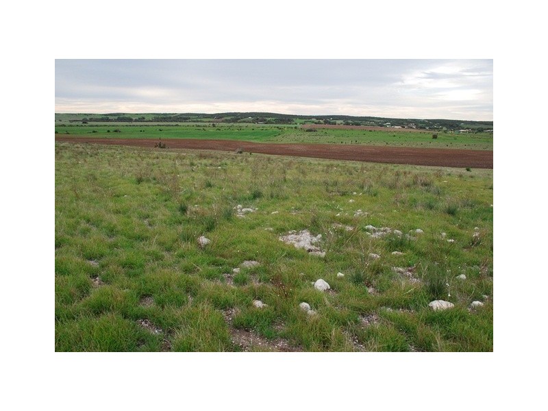 Lot 111 Company Road, Greenough WA 6532