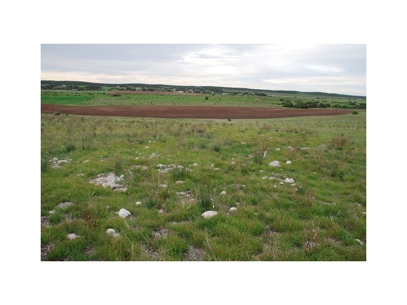 Lot 111 Company Road, Greenough WA 6532