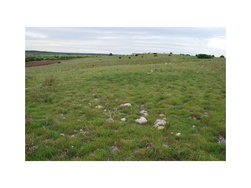 Lot 111 Company Road, Greenough WA 6532