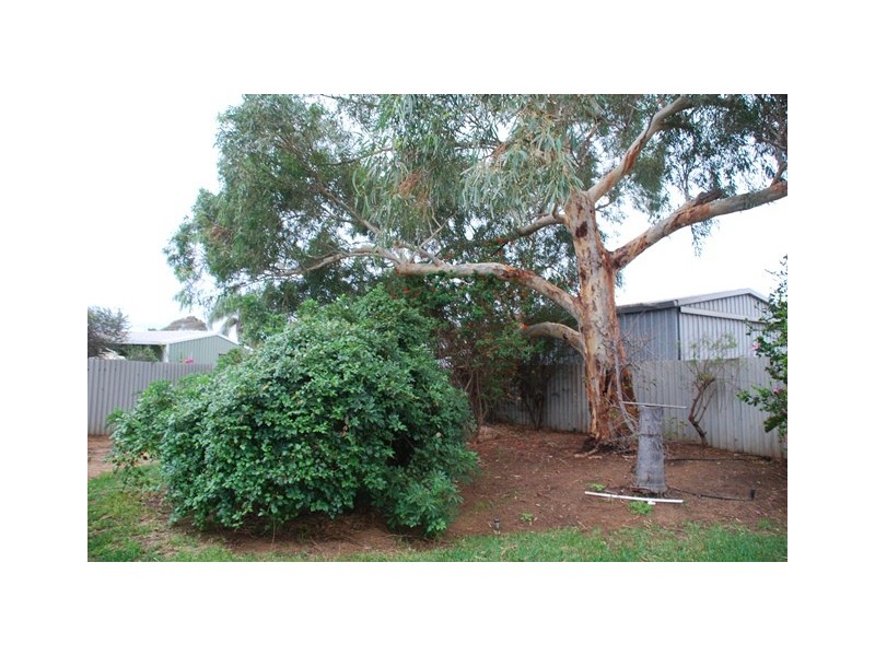 8 Bourdman Place, Spalding WA 6530