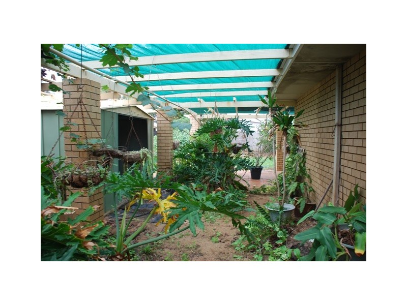 8 Bourdman Place, Spalding WA 6530