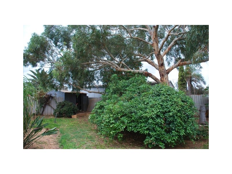 8 Bourdman Place, Spalding WA 6530