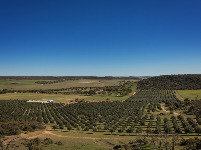 Prop Lot 3 Baston Close, Nanson WA 6532