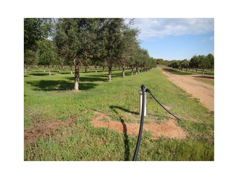 Prop Lot 3 Baston Close, Nanson WA 6532