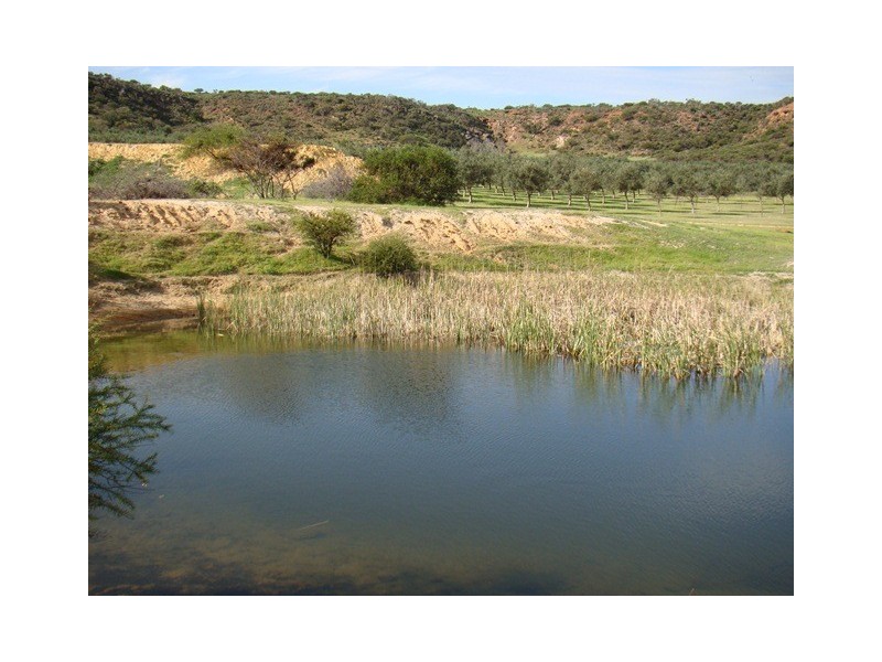 Prop Lot 3 Baston Close, Nanson WA 6532