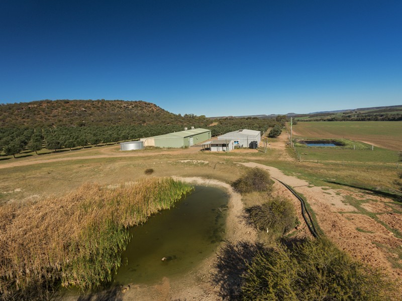 Prop Lot 3 Baston Close, Nanson WA 6532