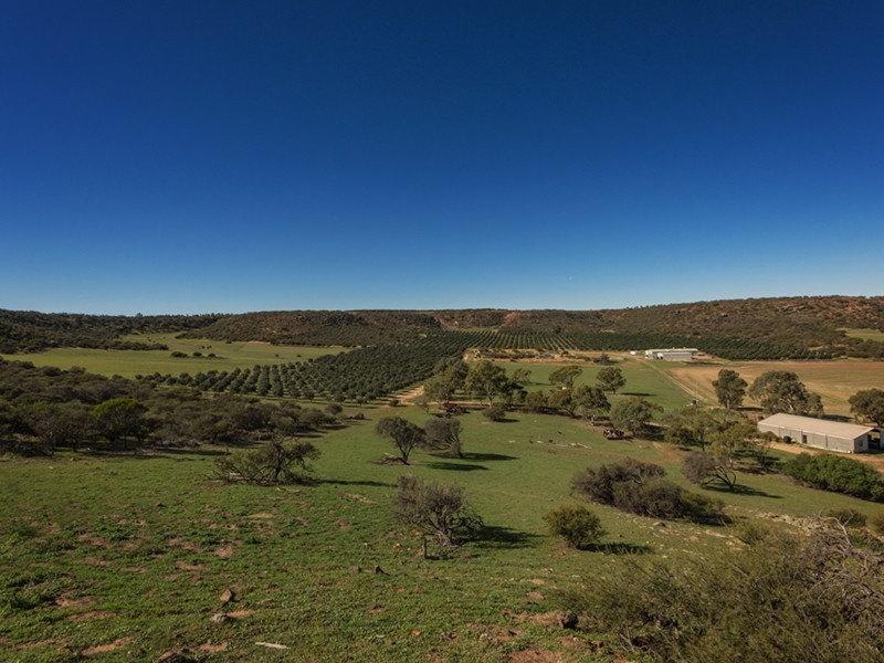 Prop Lot 3 Baston Close, Nanson WA 6532