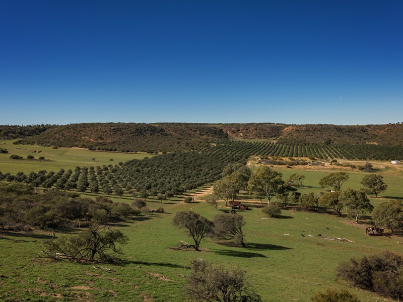 Prop Lot 3 Baston Close, Nanson WA 6532