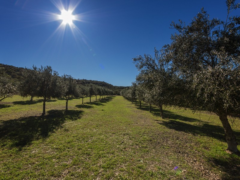 Prop Lot 3 Baston Close, Nanson WA 6532