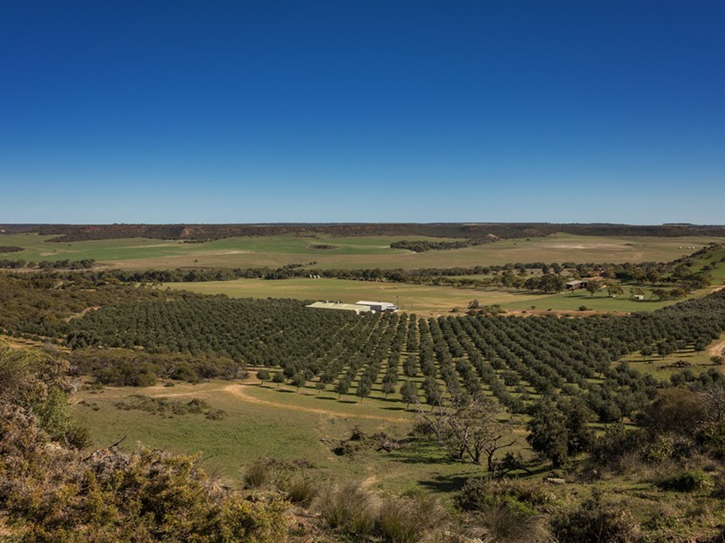 Prop Lot 3 Baston Close, Nanson WA 6532