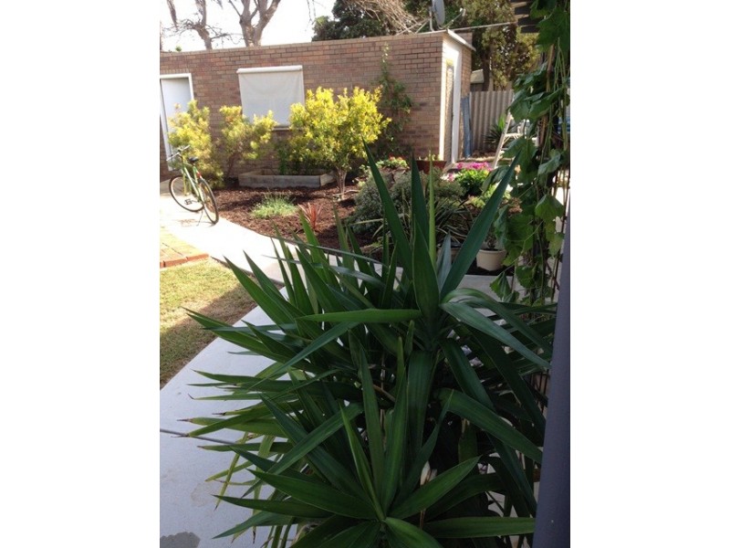 98 Gertrude Street, Geraldton WA 6530