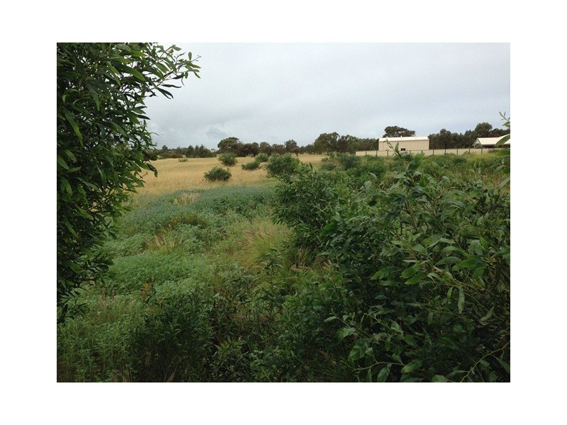 11 Cardwell Gardens, Dongara WA 6525