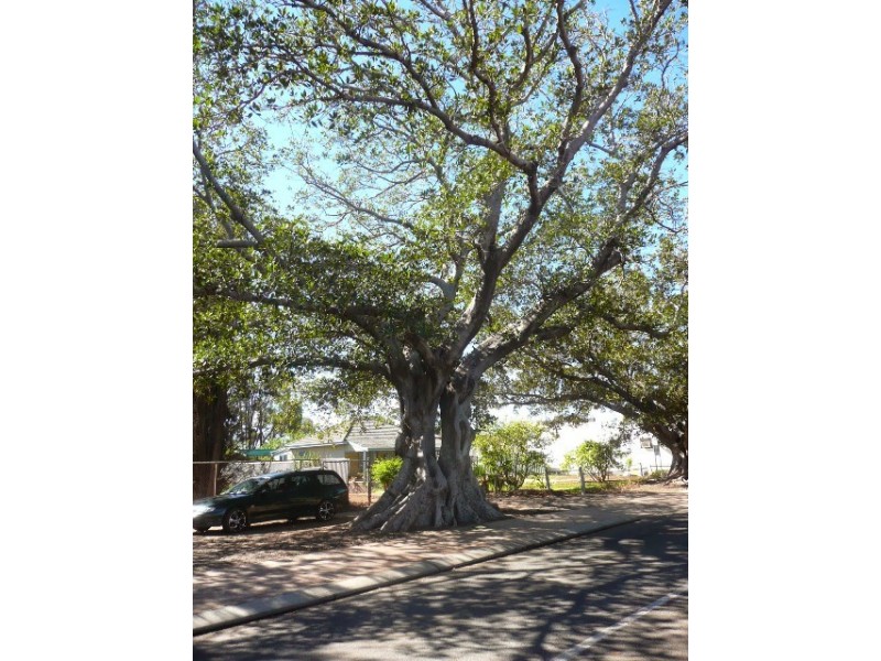 11 Cardwell Gardens, Dongara WA 6525