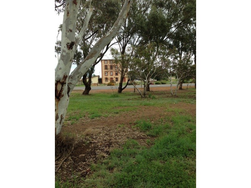 11 Cardwell Gardens, Dongara WA 6525