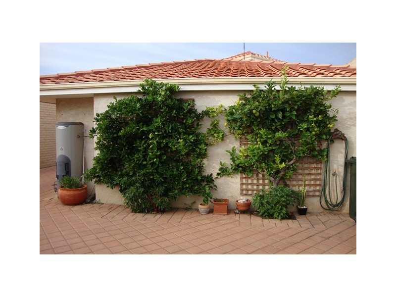 28 Waverley Street, Mount Tarcoola WA 6530