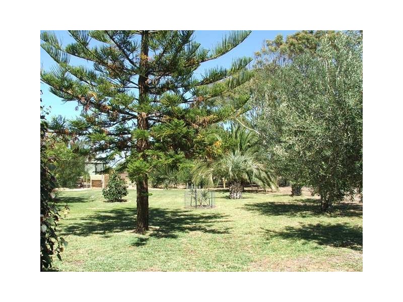 19 Adelaide Street, Waggrakine WA 6530