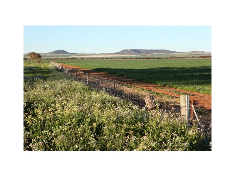 Lot 601 Bridgid Road, Bootenal WA 6532