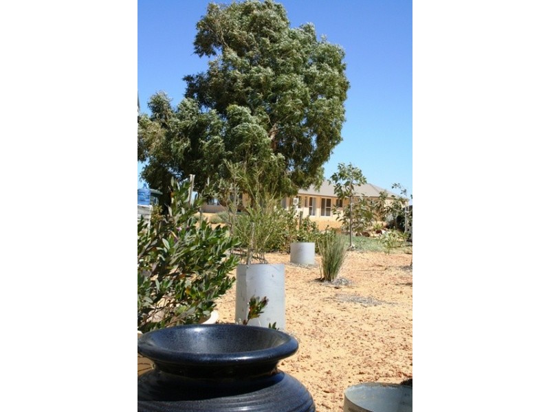 61 Wittenoom Circle, White Peak WA 6532