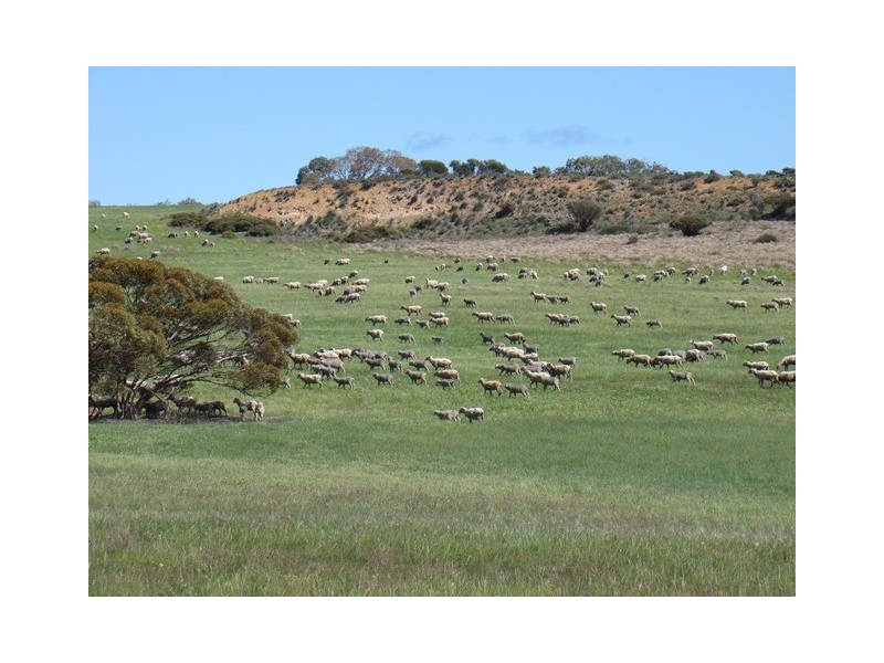 226 Ludlow road, Irwin WA 6525