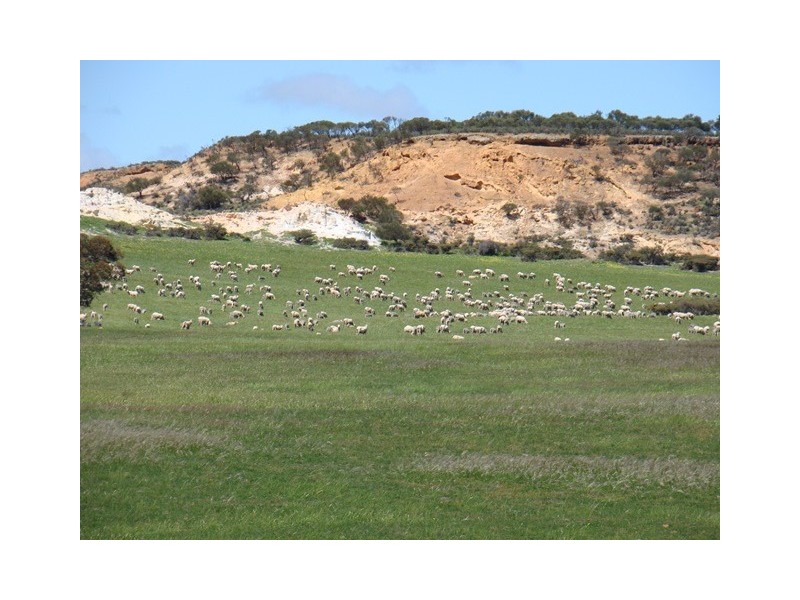 226 Ludlow road, Irwin WA 6525