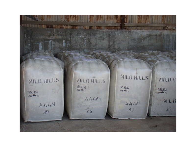 226 Ludlow road, Irwin WA 6525