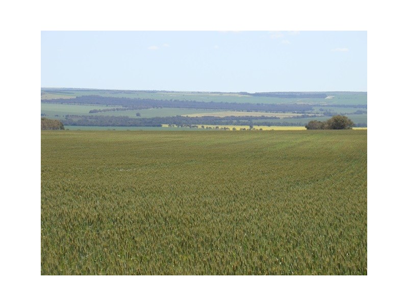 226 Ludlow road, Irwin WA 6525