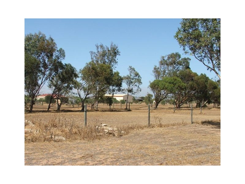 7 Dressage Circle, Deepdale WA 6532