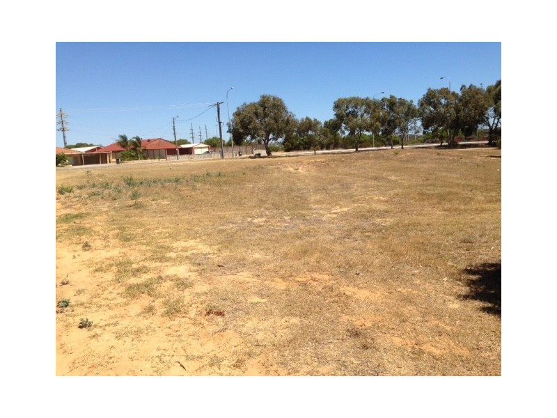 3 Beattie Road, Waggrakine WA 6530