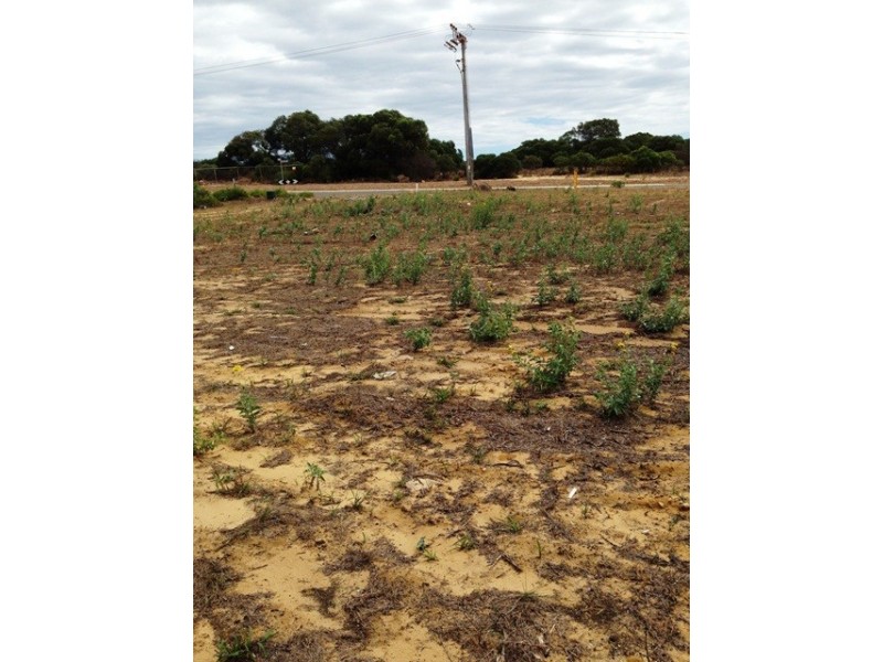 49 Abraham Street, Karloo WA 6530