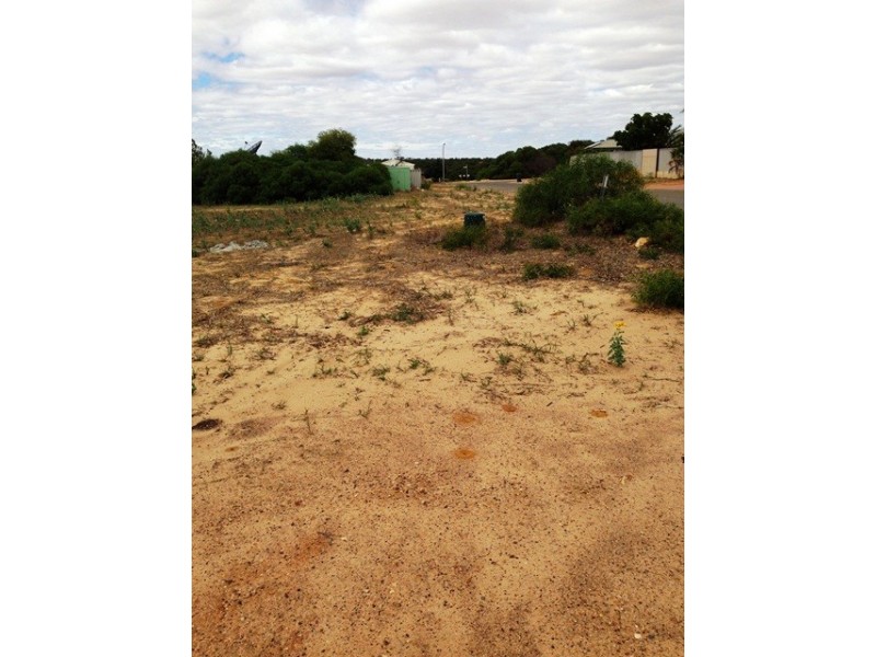 49 Abraham Street, Karloo WA 6530