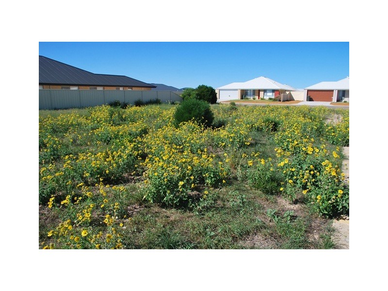 10 Waterwitch Outlook, Wandina WA 6530