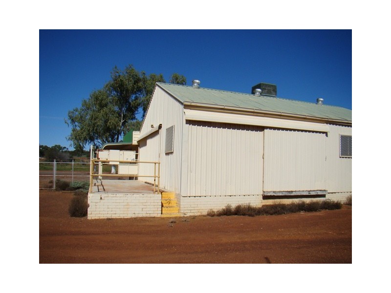 33 Gray Street, Mullewa WA 6630