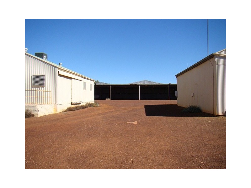 33 Gray Street, Mullewa WA 6630