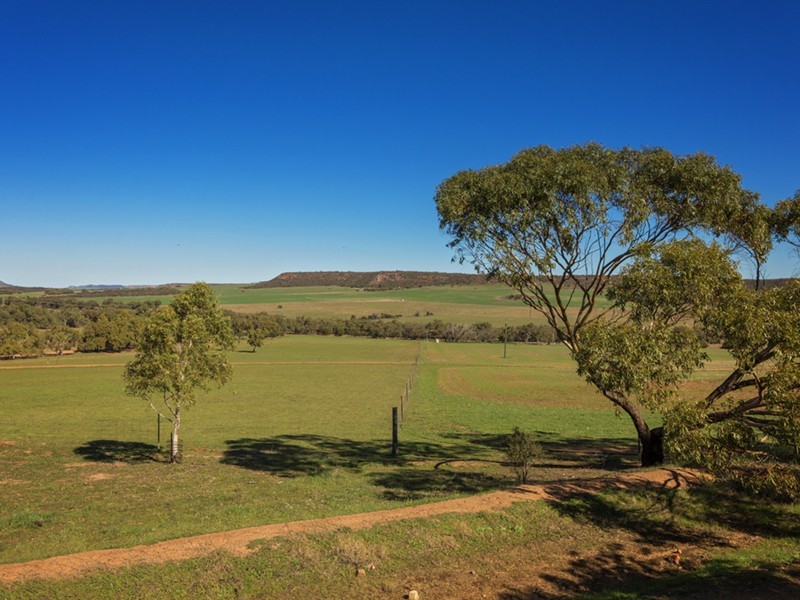 Prop Lot 1 Murphy-Yetna Road, Nanson WA 6532