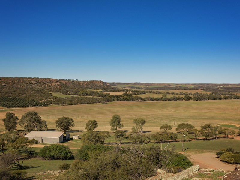 Prop Lot 1 Murphy-Yetna Road, Nanson WA 6532