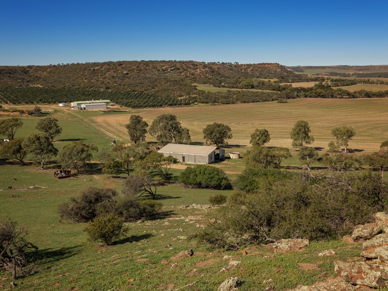 Prop Lot 1 Murphy-Yetna Road, Nanson WA 6532