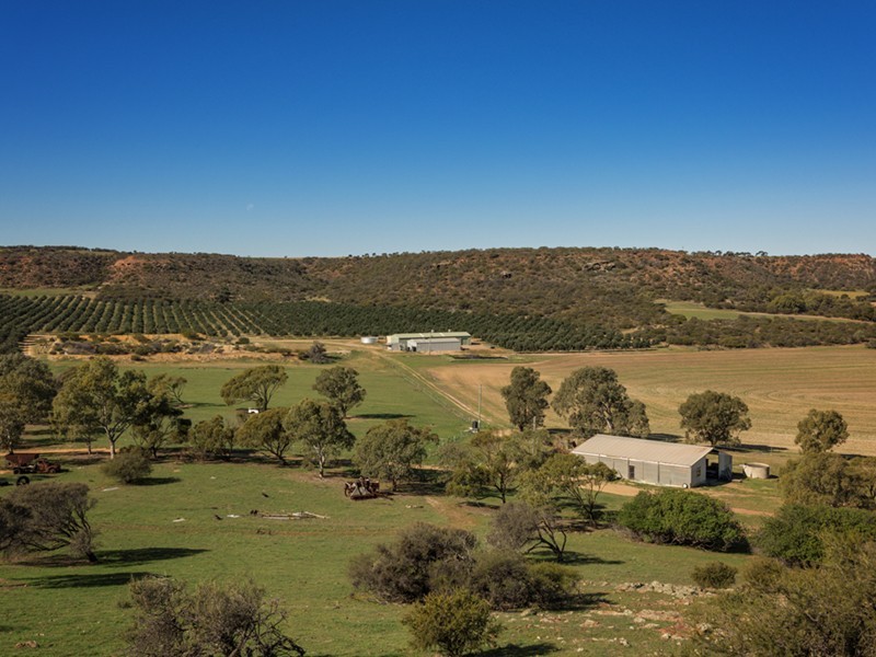 Prop Lot 1 Murphy-Yetna Road, Nanson WA 6532