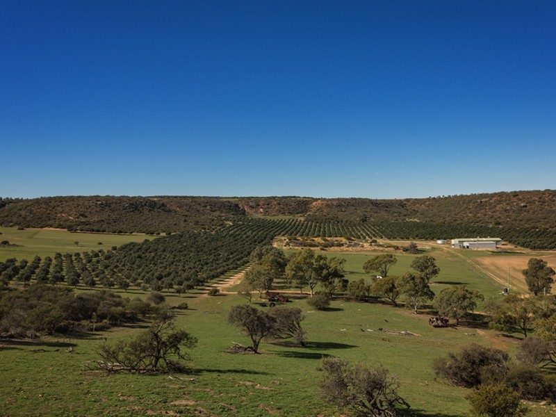 Prop Lot 1 Murphy-Yetna Road, Nanson WA 6532