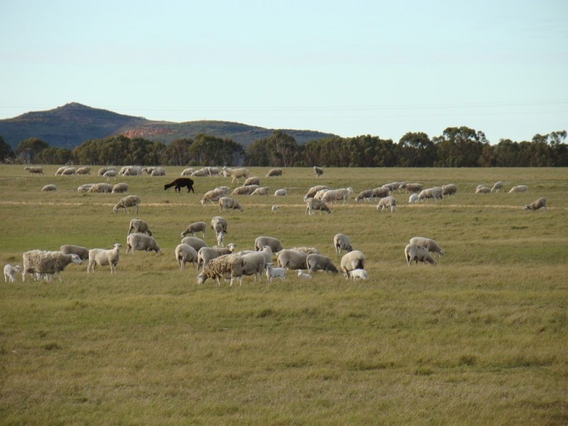 725 Allanooka Springs Road, Mount Hill WA 6528