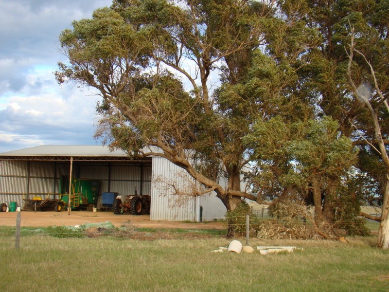 725 Allanooka Springs Road, Mount Hill WA 6528